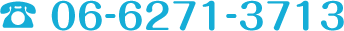 06-6271-3713